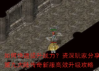 如何快速提升战力?资深玩家分享第九大陆传奇新服高效升级攻略 如何快速提升战力?资深玩家分享第九大陆传奇新服高效升级攻略