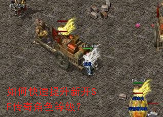 如何快速提升新开SF传奇角色等级? 如何快速提升新开SF传奇角色等级?