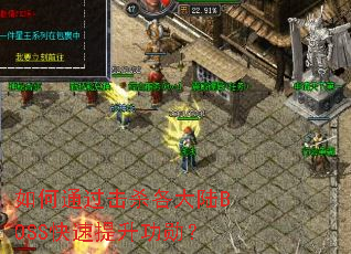如何通过击杀各大陆BOSS快速提升功勋? 如何通过击杀各大陆BOSS快速提升功勋?