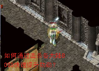 如何通过击杀各大陆BOSS快速提升功勋? 如何通过击杀各大陆BOSS快速提升功勋?