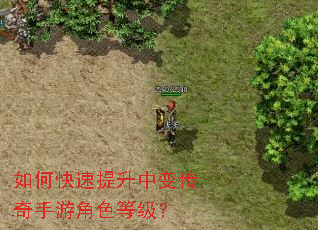 如何快速提升中变传奇手游角色等级? 如何快速提升中变传奇手游角色等级?