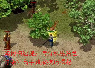 如何快速提升传奇私服角色等级?高手独家技巧揭秘 如何快速提升传奇私服角色等级?高手独家技巧揭秘