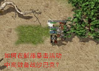 如何在新服暴击活动中高效备战沙巴克? 如何在新服暴击活动中高效备战沙巴克?