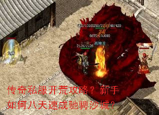 传奇私服开荒攻略?新手如何八天速成驰骋沙城? 传奇私服开荒攻略?新手如何八天速成驰骋沙城?