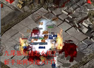 九尾狐私挂怎么用?新手如何快速入门? 九尾狐私挂怎么用?新手如何快速入门?