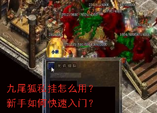九尾狐私挂怎么用?新手如何快速入门? 九尾狐私挂怎么用?新手如何快速入门?
