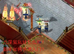 九尾狐私挂怎么用?新手如何快速入门? 九尾狐私挂怎么用?新手如何快速入门?