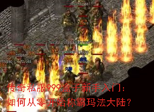 传奇私服999盒子新手入门:如何从零开始称霸玛法大陆? 传奇私服999盒子新手入门:如何从零开始称霸玛法大陆?