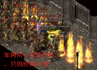 ������ĸ��ܴ��棬ֻ�򾭵����㣿