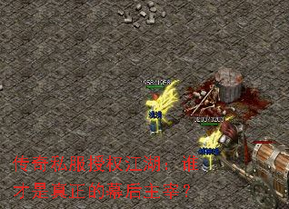传奇私服授权江湖:谁才是真正的幕后主宰? 传奇私服授权江湖:谁才是真正的幕后主宰?