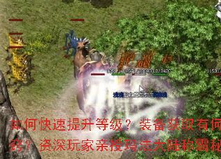 如何快速提升等级?装备获取有何诀窍?资深玩家亲授玛法大陆称霸秘籍 如何快速提升等级?装备获取有何诀窍?资深玩家亲授玛法大陆称霸秘籍
