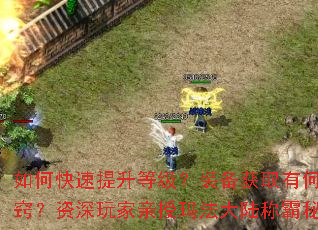 如何快速提升等级?装备获取有何诀窍?资深玩家亲授玛法大陆称霸秘籍 如何快速提升等级?装备获取有何诀窍?资深玩家亲授玛法大陆称霸秘籍