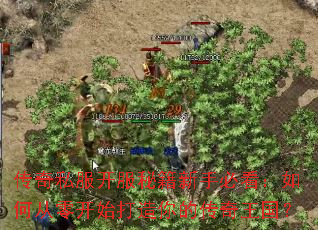 传奇私服开服秘籍新手必看:如何从零开始打造你的传奇王国? 传奇私服开服秘籍新手必看:如何从零开始打造你的传奇王国?