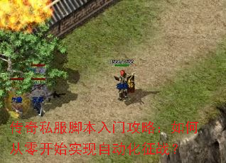 传奇私服脚本入门攻略:如何从零开始实现自动化征战? 传奇私服脚本入门攻略:如何从零开始实现自动化征战?