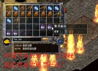 中国巴马长寿村:百岁秘境的终极攻略是什么? 中国巴马长寿村:百岁秘境的终极攻略是什么?