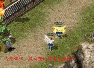 传奇BOSS,没有技巧你能征服吗? 传奇BOSS,没有技巧你能征服吗?