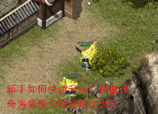 新手如何快速升级?热血传奇海猫带你驰骋玛法大陆 新手如何快速升级?热血传奇海猫带你驰骋玛法大陆