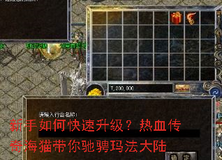 新手如何快速升级?热血传奇海猫带你驰骋玛法大陆 新手如何快速升级?热血传奇海猫带你驰骋玛法大陆