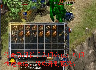 传奇私服新手入门必读:如何快速修炼,轻松升到顶级? 传奇私服新手入门必读:如何快速修炼,轻松升到顶级?