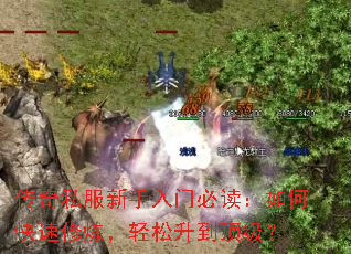 传奇私服新手入门必读:如何快速修炼,轻松升到顶级? 传奇私服新手入门必读:如何快速修炼,轻松升到顶级?