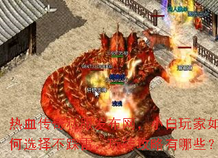 热血传奇私服发布网,小白玩家如何选择不踩雷,玩转攻略有哪些? 热血传奇私服发布网,小白玩家如何选择不踩雷,玩转攻略有哪些?