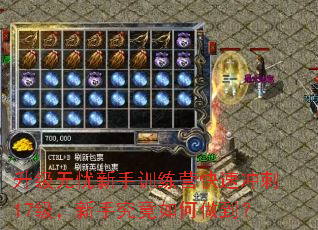 升级无忧新手训练营快速冲刺17级,新手究竟如何做到? 升级无忧新手训练营快速冲刺17级,新手究竟如何做到?