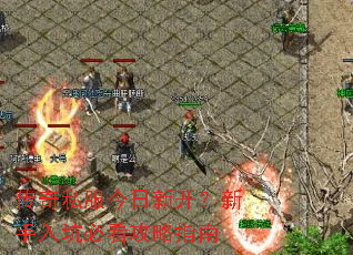 传奇私服今日新开?新手入坑必看攻略指南 传奇私服今日新开?新手入坑必看攻略指南