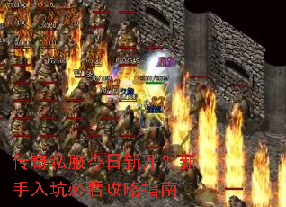 传奇私服今日新开?新手入坑必看攻略指南 传奇私服今日新开?新手入坑必看攻略指南