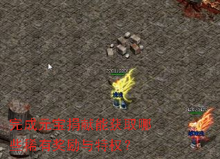 完成元宝捐献能获取哪些稀有奖励与特权? 完成元宝捐献能获取哪些稀有奖励与特权?