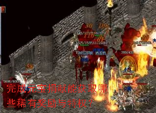 完成元宝捐献能获取哪些稀有奖励与特权? 完成元宝捐献能获取哪些稀有奖励与特权?