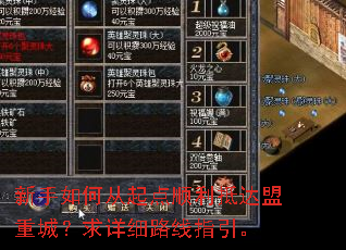 新手如何从起点顺利抵达盟重城?求详细路线指引。 新手如何从起点顺利抵达盟重城?求详细路线指引。