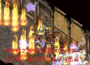传奇神之域领域5层BOSS刷新点在哪?如何高效蹲守与击杀? 传奇神之域领域5层BOSS刷新点在哪?如何高效蹲守与击杀?
