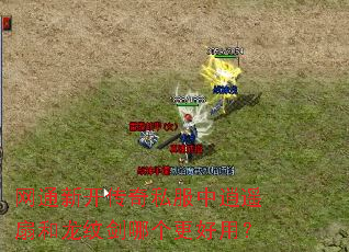 网通新开传奇私服中逍遥扇和龙纹剑哪个更好用? 网通新开传奇私服中逍遥扇和龙纹剑哪个更好用?