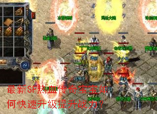 最新SF热血传奇宝宝如何快速升级提升战力? 最新SF热血传奇宝宝如何快速升级提升战力?