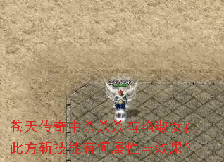 苍天传奇中杀杀杀有艳淑女在此方斩技能有何属性与效果? 苍天传奇中杀杀杀有艳淑女在此方斩技能有何属性与效果?