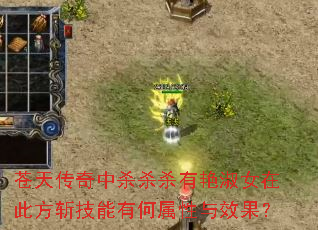 苍天传奇中杀杀杀有艳淑女在此方斩技能有何属性与效果? 苍天传奇中杀杀杀有艳淑女在此方斩技能有何属性与效果?