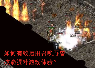 如何有效运用召唤野兽技能提升游戏体验? 如何有效运用召唤野兽技能提升游戏体验?