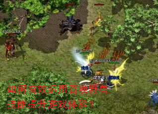 如何有效运用召唤野兽技能提升游戏体验? 如何有效运用召唤野兽技能提升游戏体验?