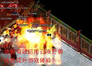 如何有效运用召唤野兽技能提升游戏体验? 如何有效运用召唤野兽技能提升游戏体验?