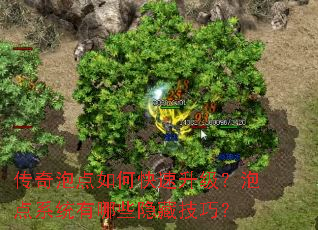 传奇泡点如何快速升级?泡点系统有哪些隐藏技巧? 传奇泡点如何快速升级?泡点系统有哪些隐藏技巧?