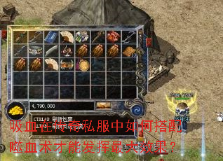 吸血在传奇私服中如何搭配噬血术才能发挥最大效果? 吸血在传奇私服中如何搭配噬血术才能发挥最大效果?