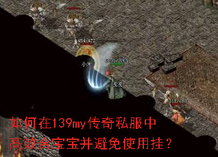 如何在139my传奇私服中高效合宝宝并避免使用挂? 如何在139my传奇私服中高效合宝宝并避免使用挂?