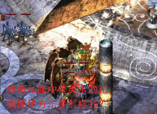传奇私服中兽灵术的正确使用方法是怎样的? 传奇私服中兽灵术的正确使用方法是怎样的?