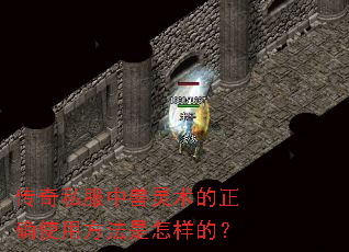 传奇私服中兽灵术的正确使用方法是怎样的? 传奇私服中兽灵术的正确使用方法是怎样的?