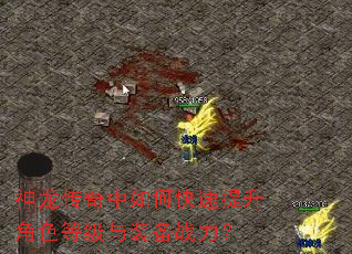 神龙传奇中如何快速提升角色等级与装备战力? 神龙传奇中如何快速提升角色等级与装备战力?