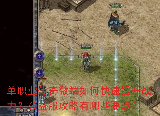 单职业传奇微端如何快速提升战力?公益服攻略有哪些要点? 单职业传奇微端如何快速提升战力?公益服攻略有哪些要点?