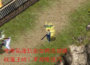 传奇私服玩家如何高效挑战魔王岭?求攻略技巧 传奇私服玩家如何高效挑战魔王岭?求攻略技巧