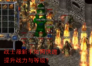 战士服新手如何快速提升战力与等级? 战士服新手如何快速提升战力与等级?