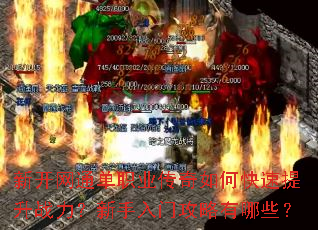 新开网通单职业传奇如何快速提升战力?新手入门攻略有哪些? 新开网通单职业传奇如何快速提升战力?新手入门攻略有哪些?