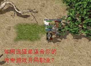 如何选择最适合你的传奇游戏开局职业? 如何选择最适合你的传奇游戏开局职业?